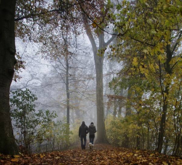Photograph Gert Van Den Bosch A Misty Walk on One Eyeland